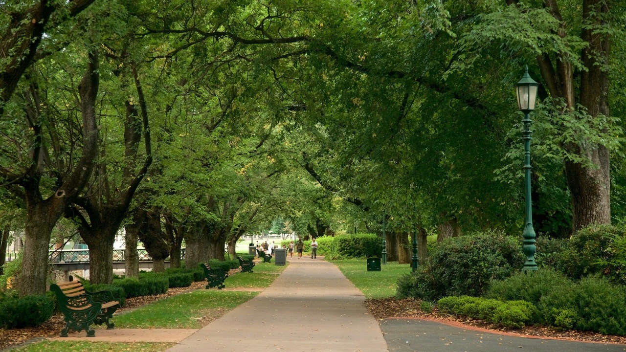 Photo of Others in Bendigo
