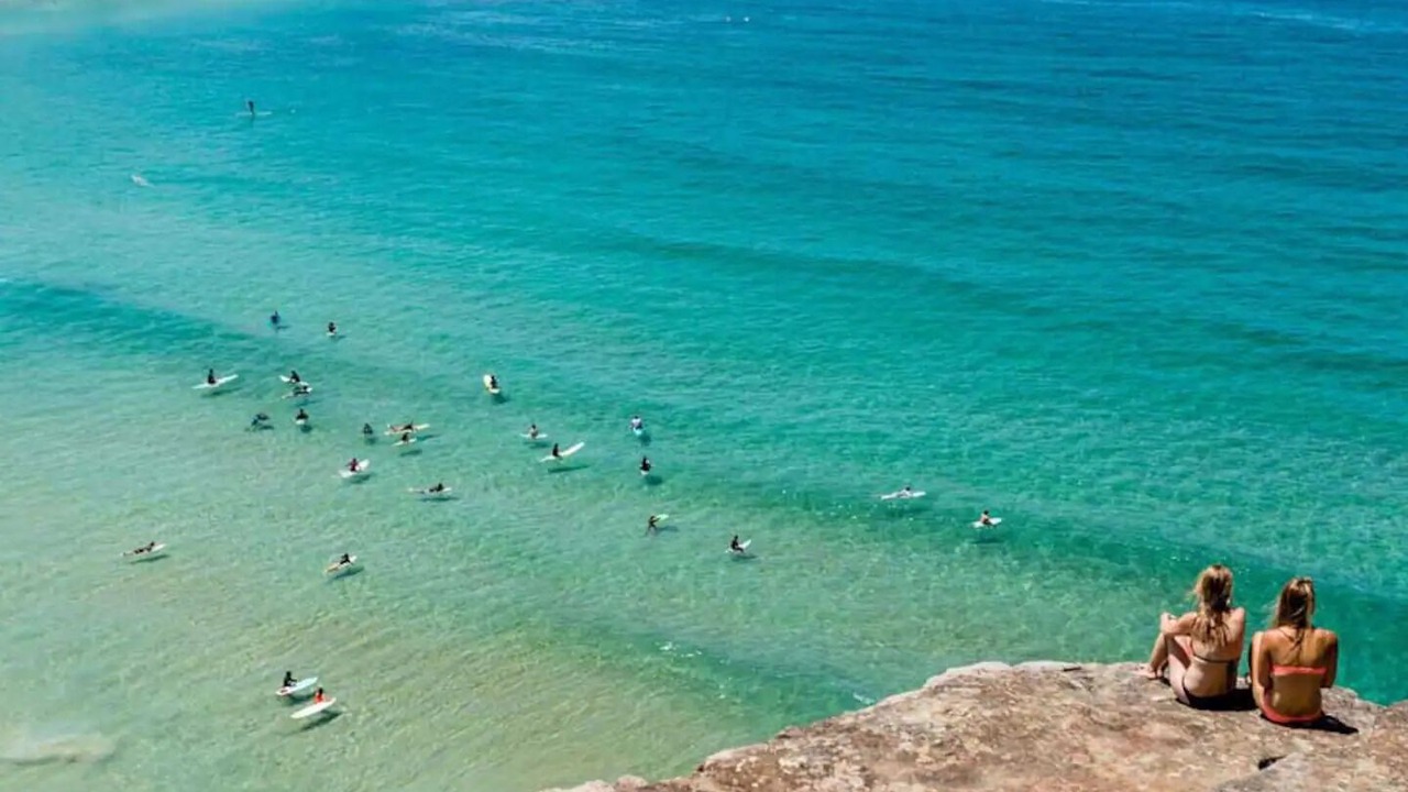 Photo of Others in Freshwater