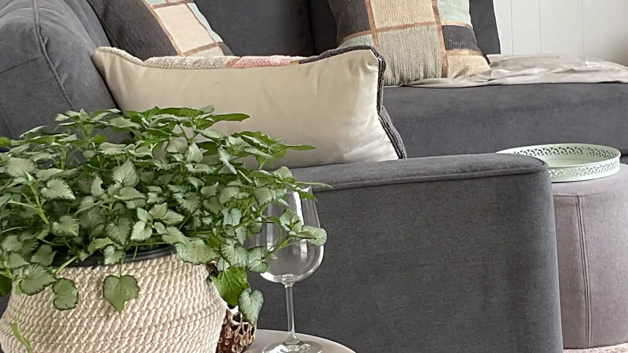 Photo of Livingroom in Rosebud