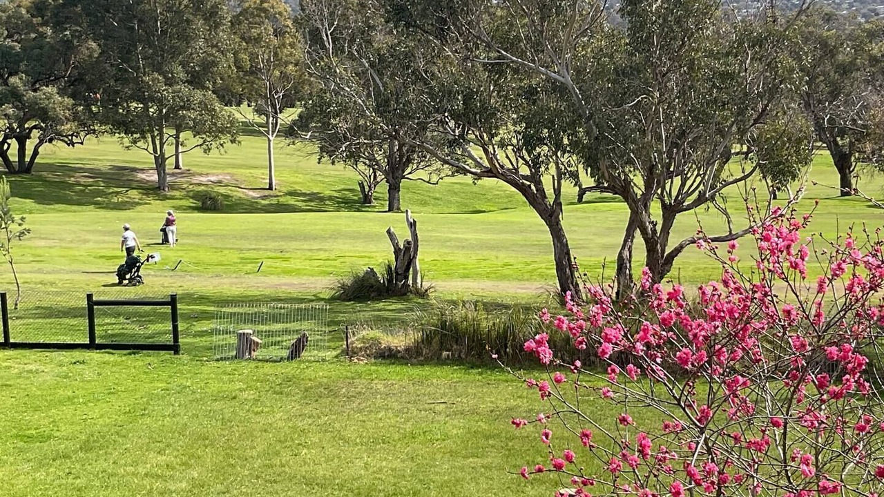Photo of Outdoor in Rosebud
