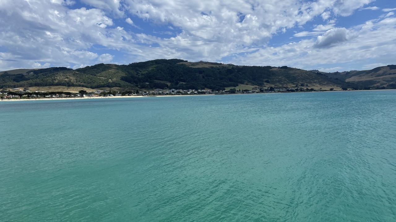 Photo of Others in Apollo Bay