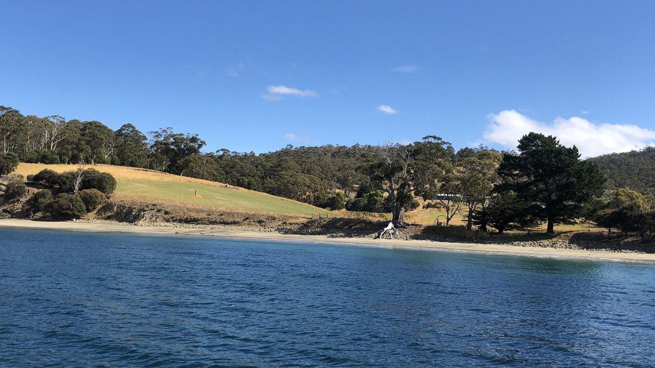 Photo of Others in North Bruny
