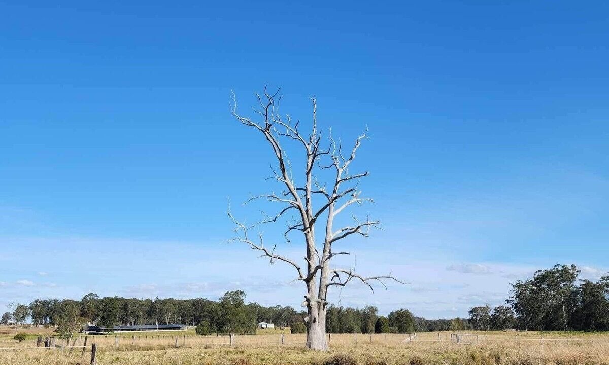 Photo of Outdoor in Bulahdelah