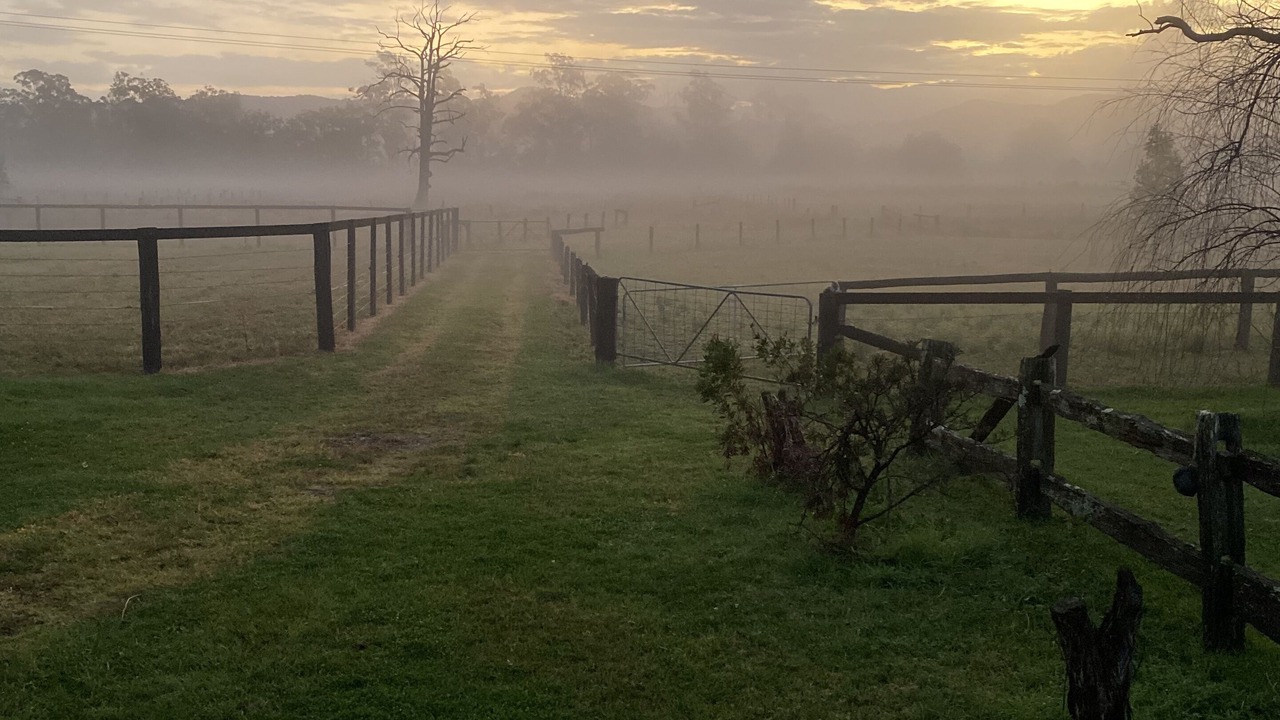 Photo of Outdoor in Bulahdelah