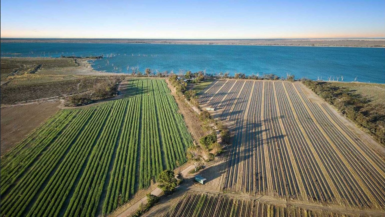 Photo of Others in Barmera