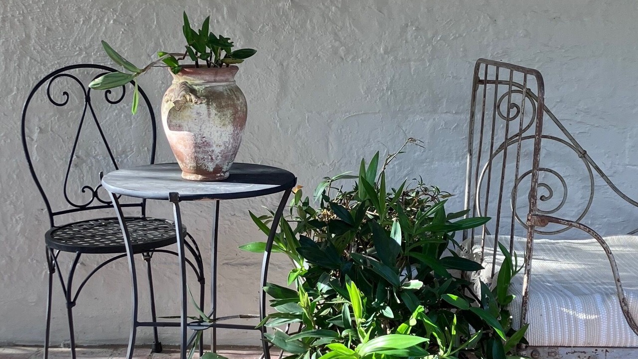 Photo of Outdoor in Healesville
