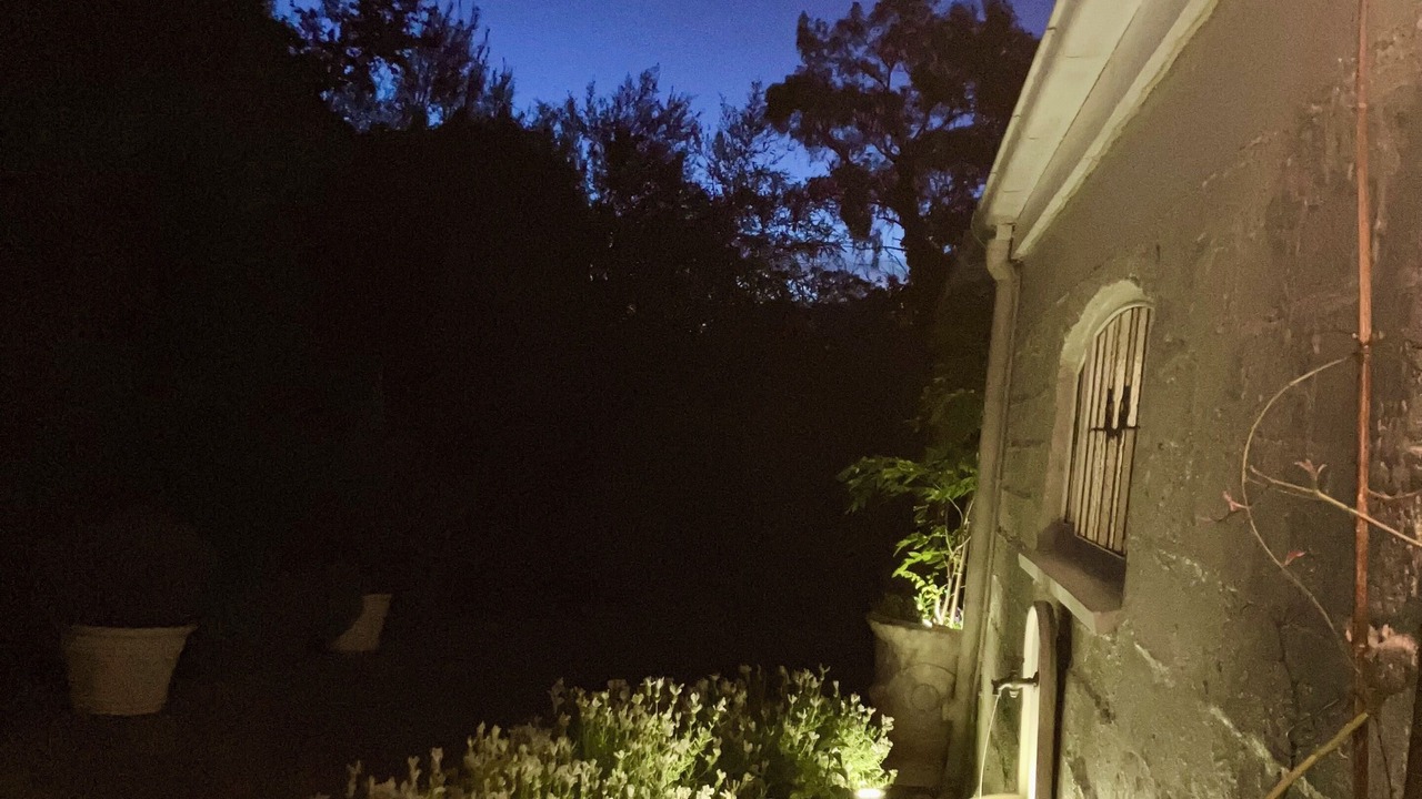 Photo of Outdoor in Healesville