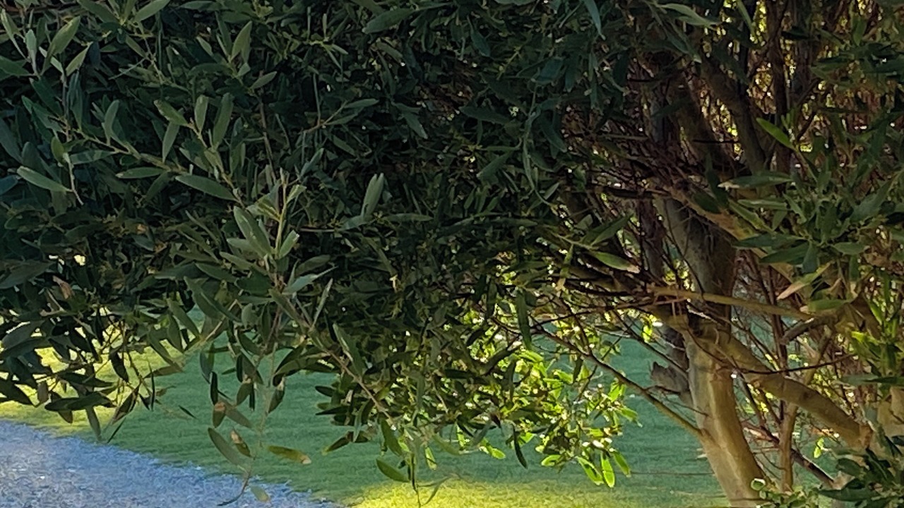 Photo of Outdoor in Sandy Point