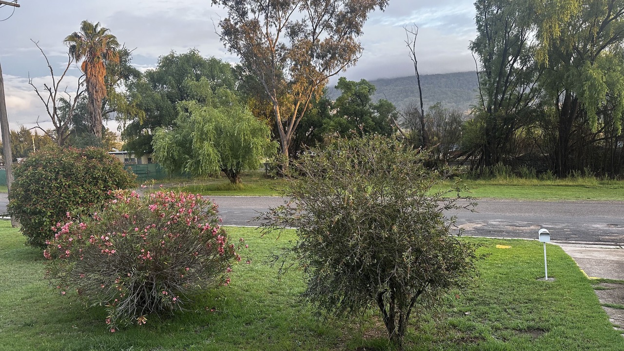 Photo of Outdoor in Murrurundi