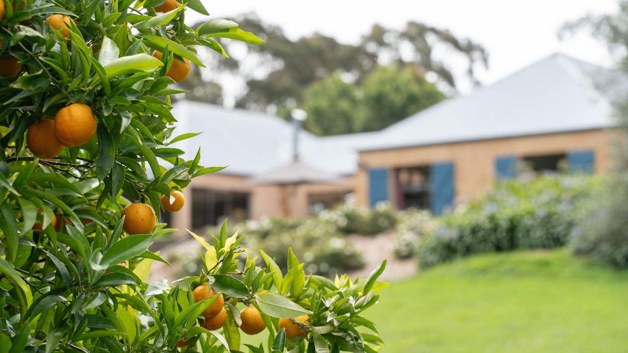 Photo of Outdoor in Bundanoon