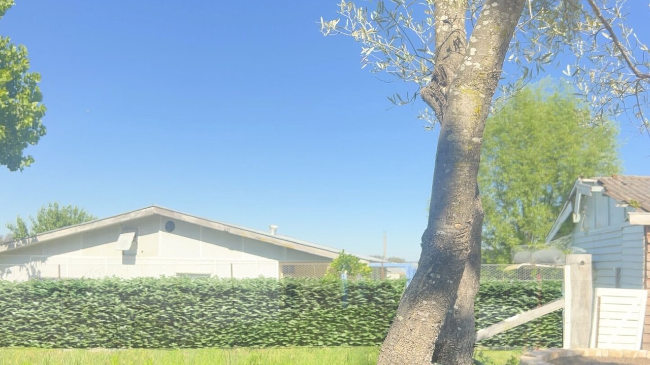 Photo of Outdoor in Stanthorpe