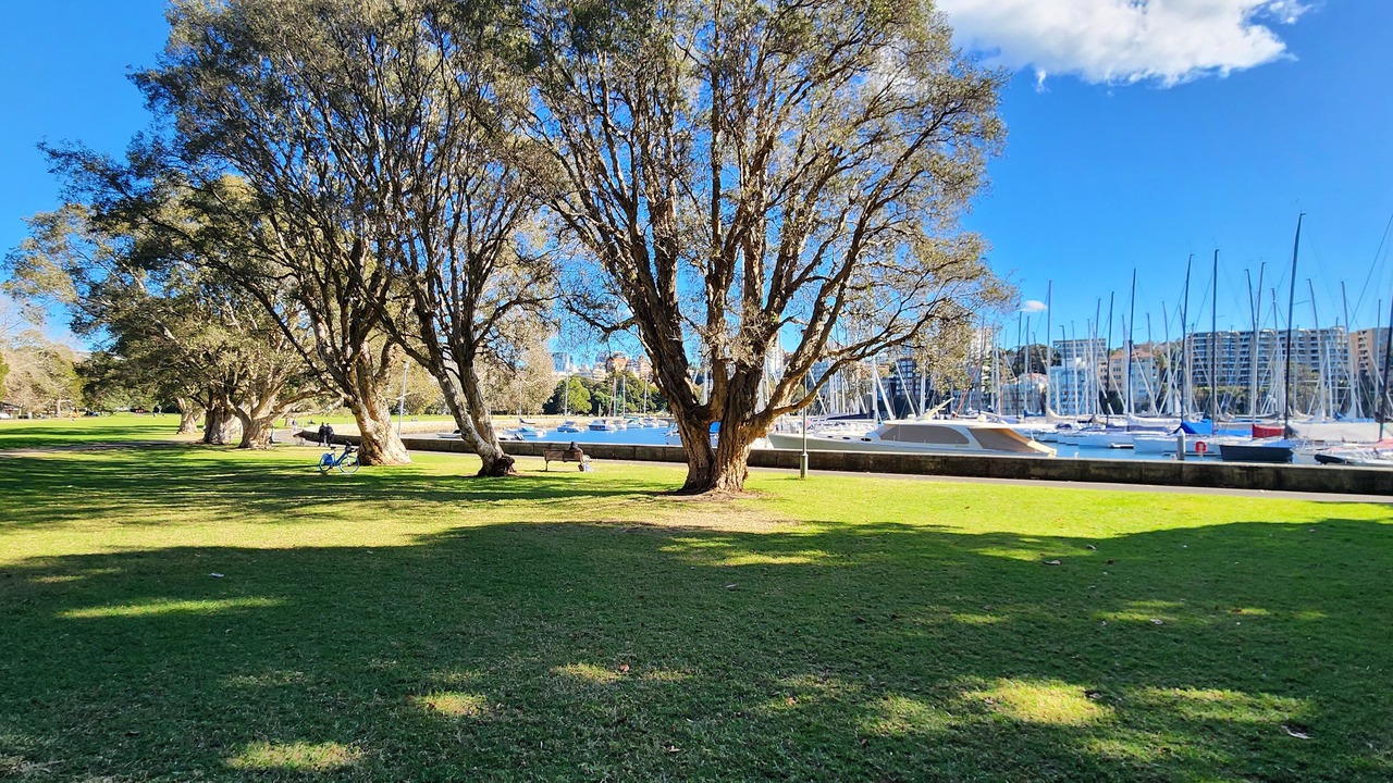 Photo of Others in Rushcutters Bay