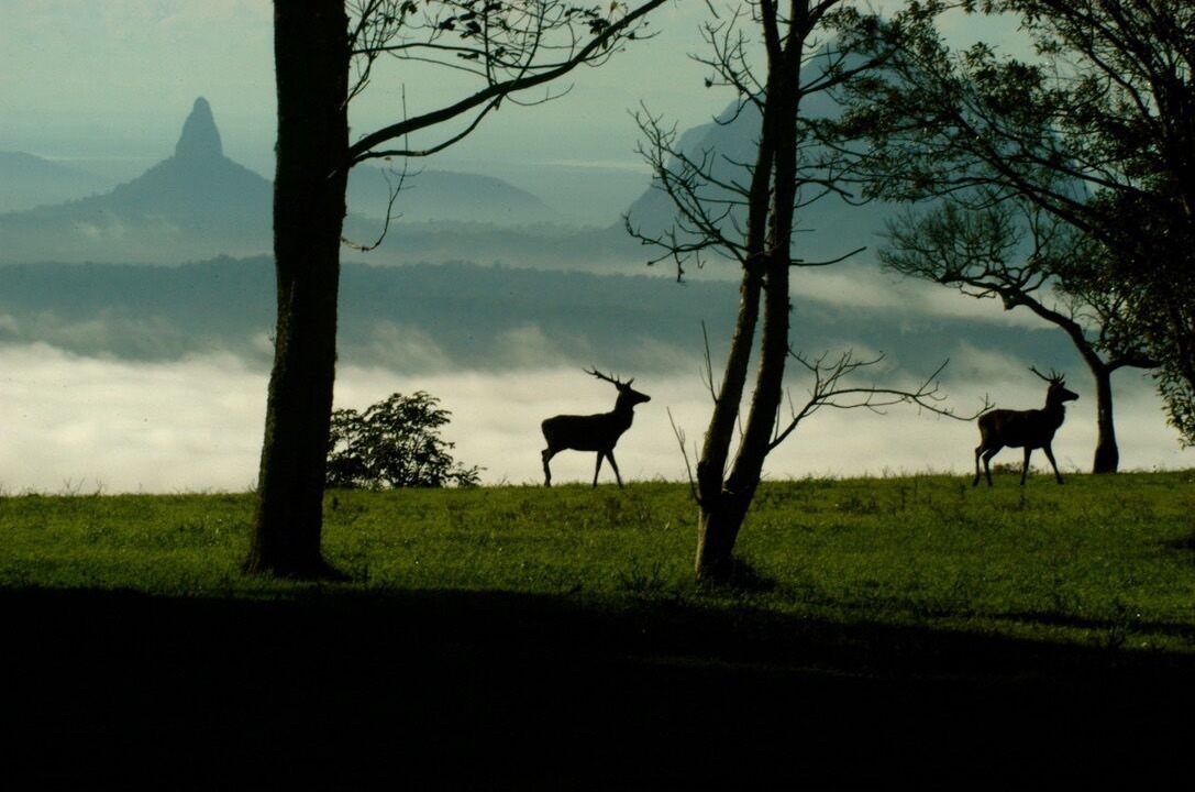 Photo of Outdoor in Booroobin