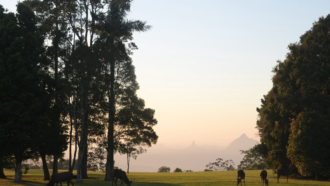 Photo of Others in Booroobin