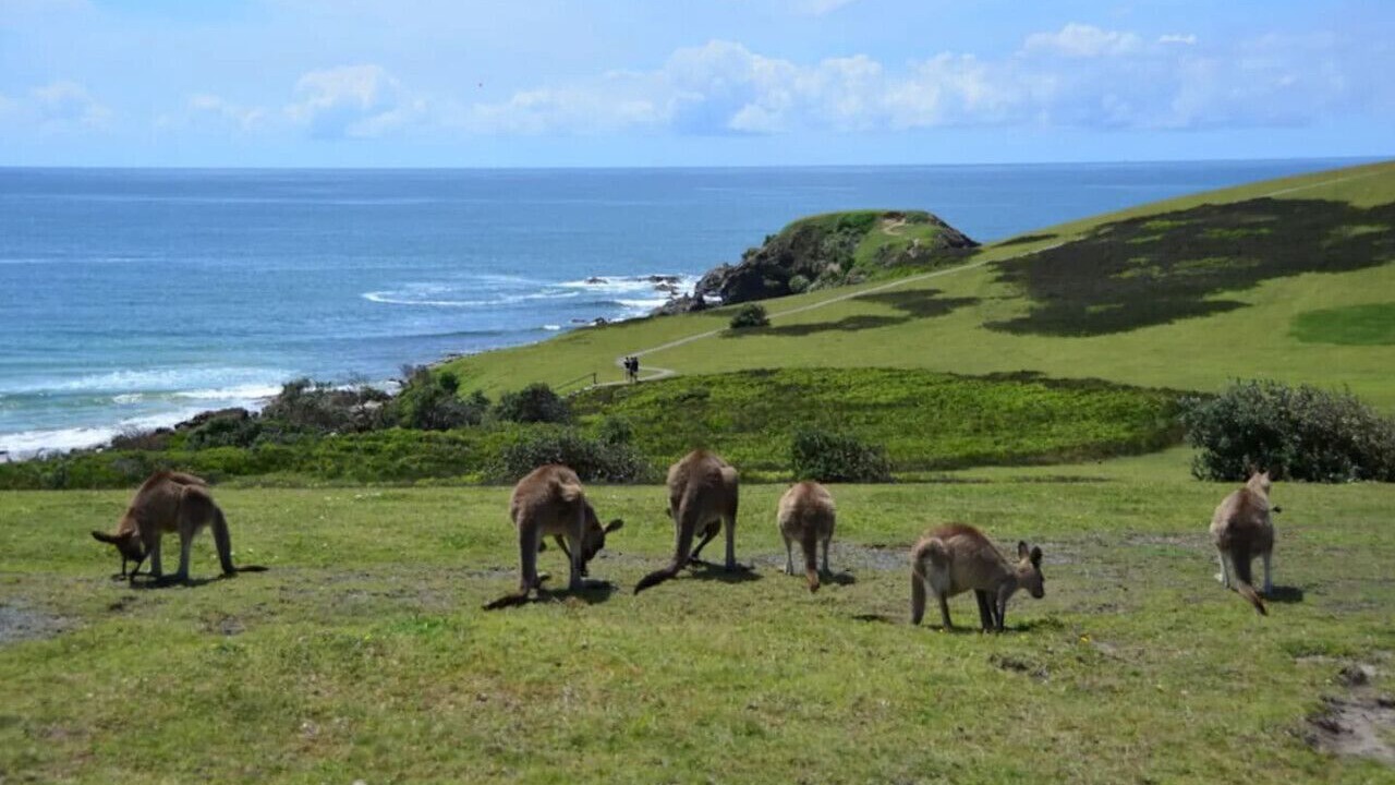 Photo of Others in Emerald Beach