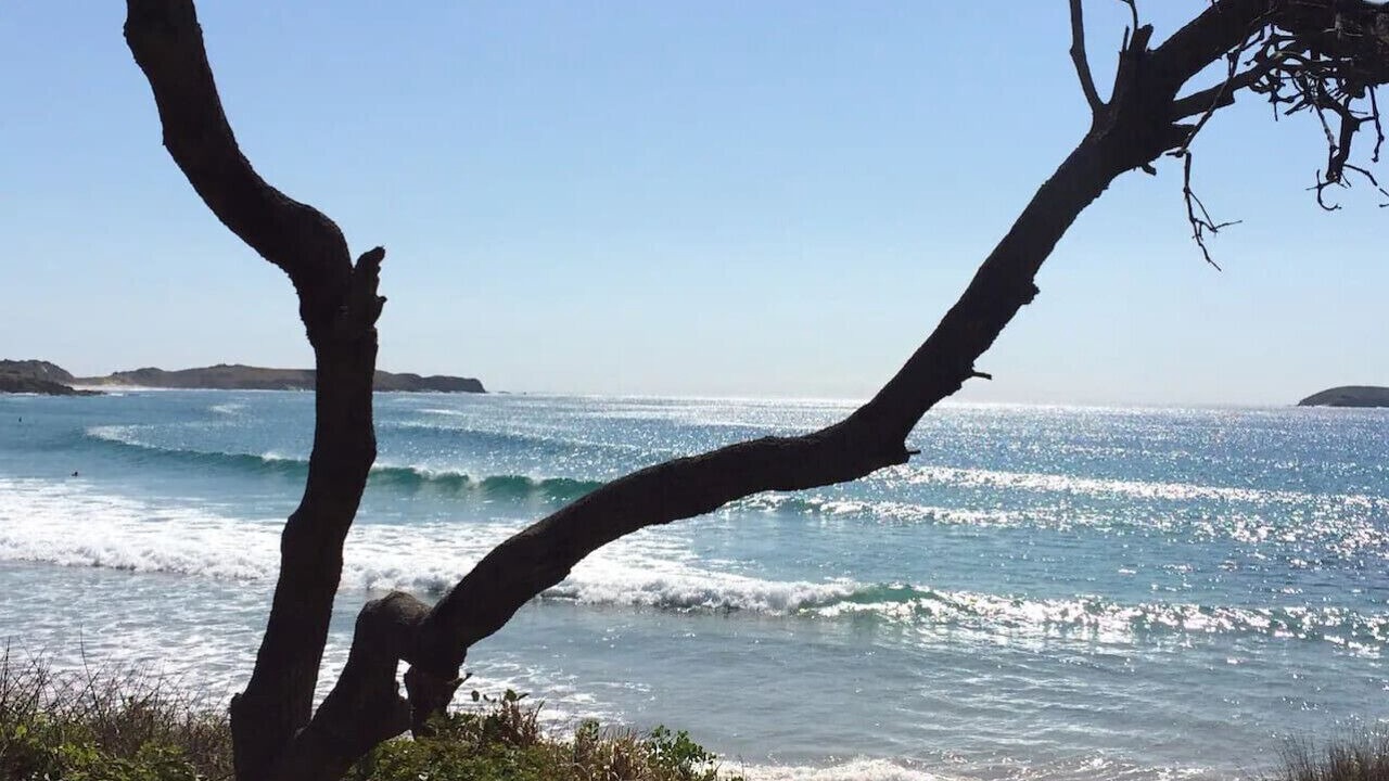 Photo of Others in Emerald Beach