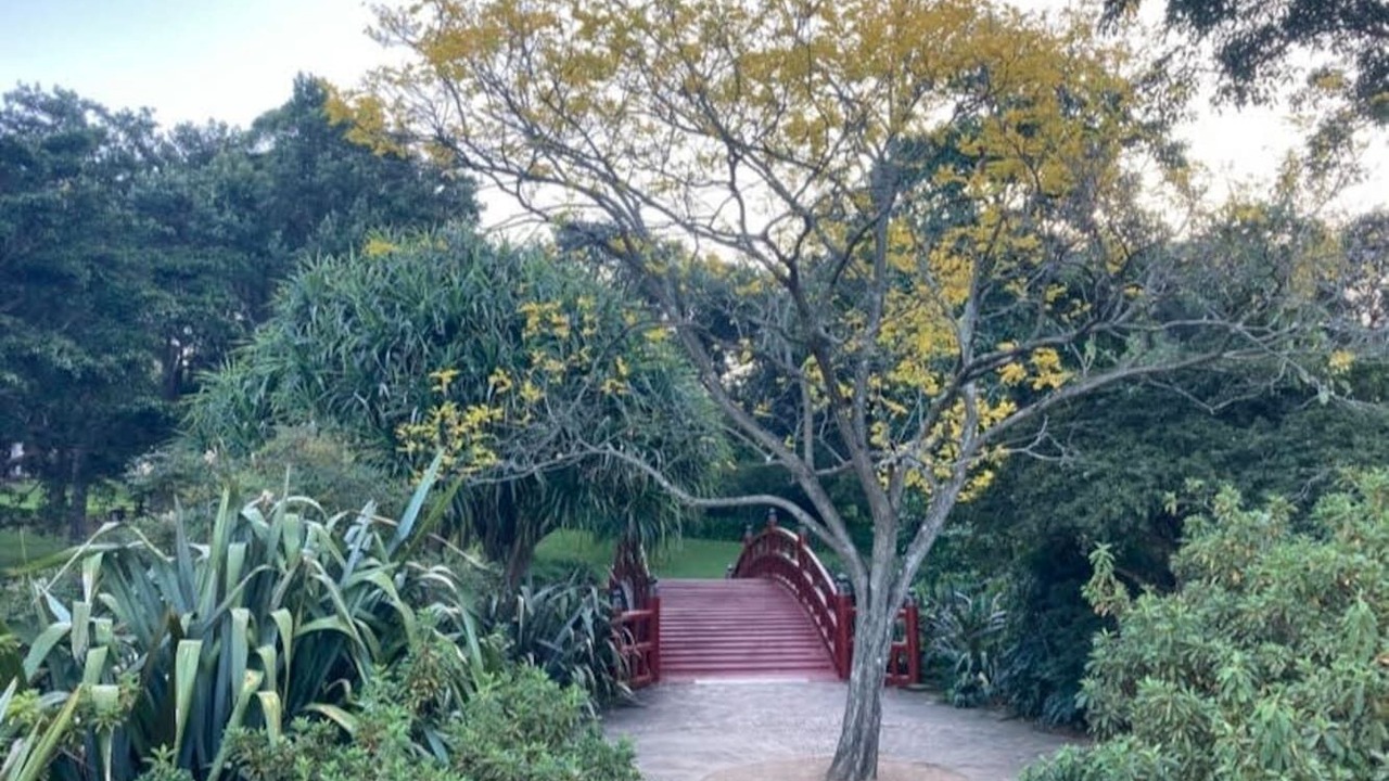 Photo of Outdoor in Towradgi