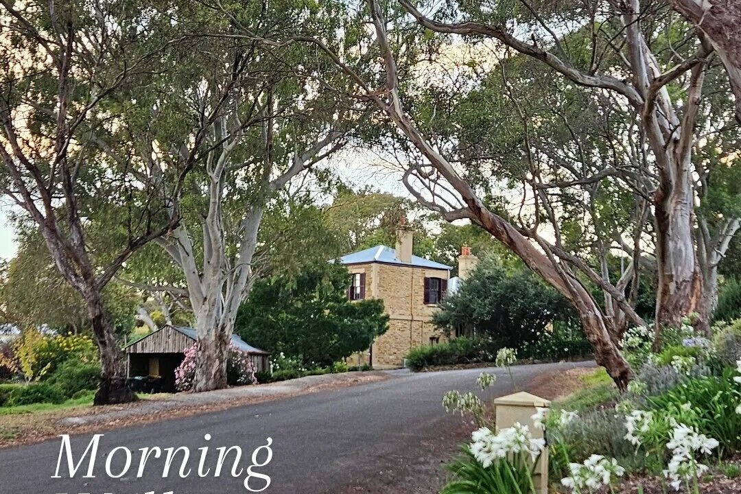 Photo of Outdoor in Willunga