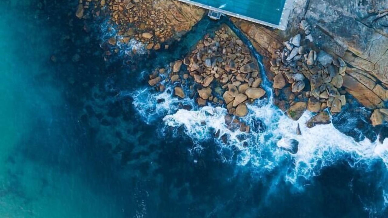 Photo of Others in Freshwater