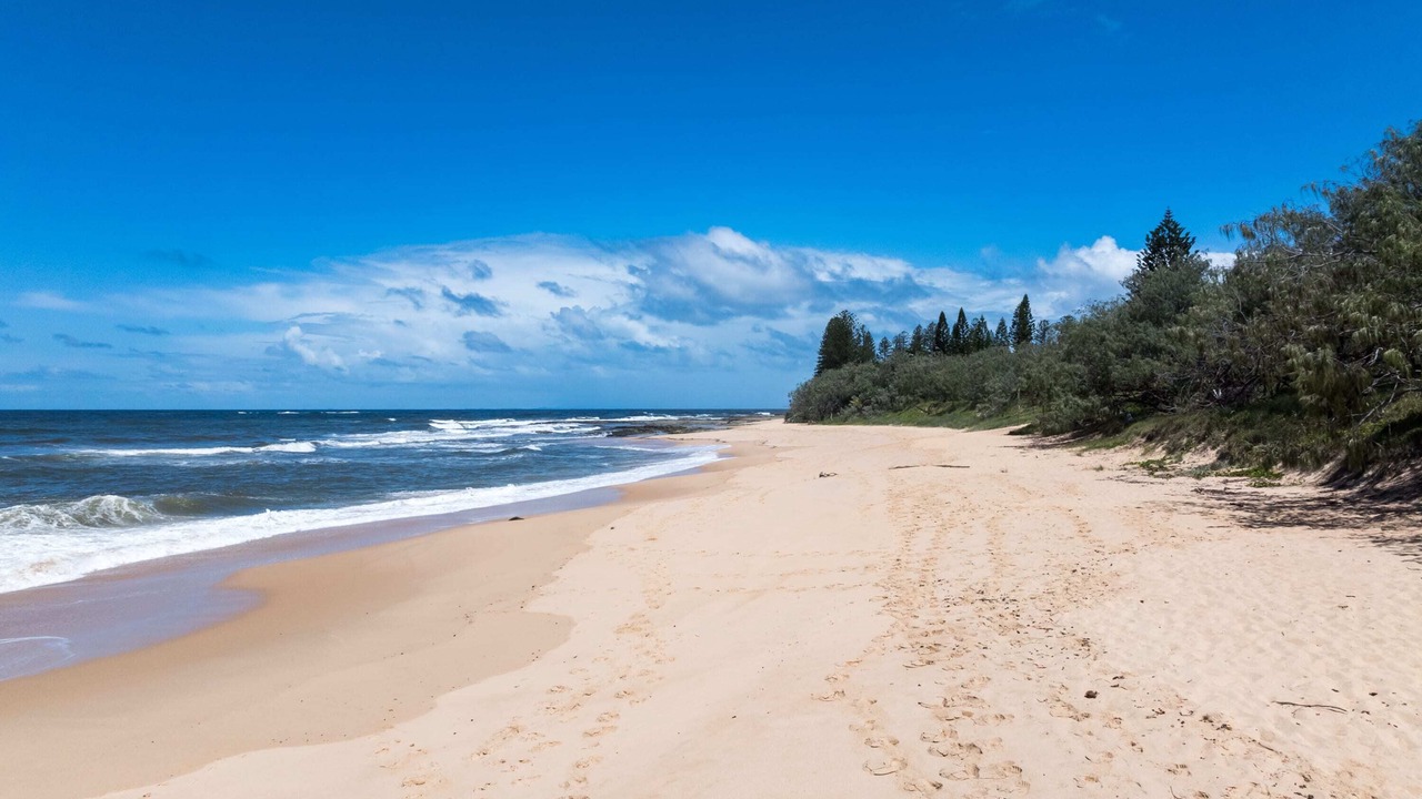 Photo of Others in Shelly Beach