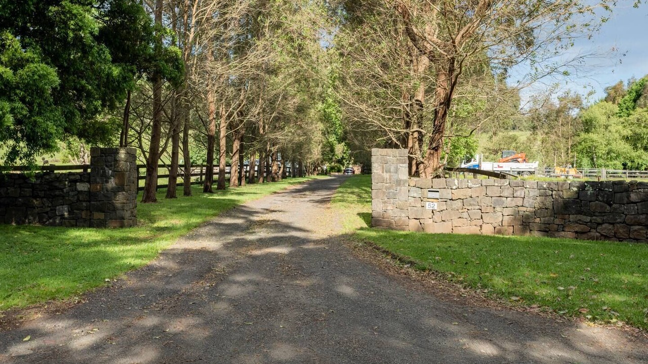Photo of Others in Foxground
