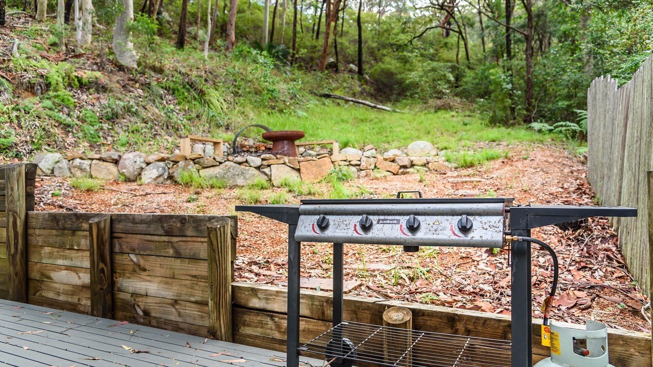 Photo of Outdoor in Hardys Bay