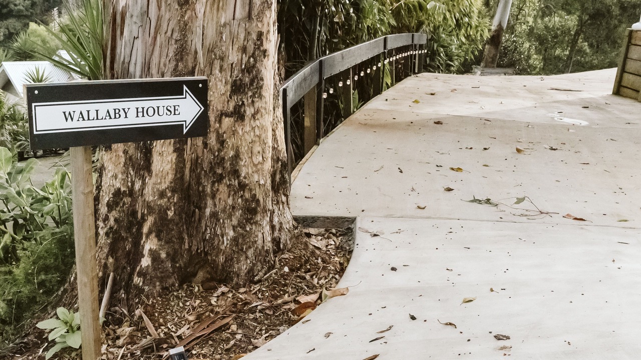 Photo of Outdoor in North Maleny
