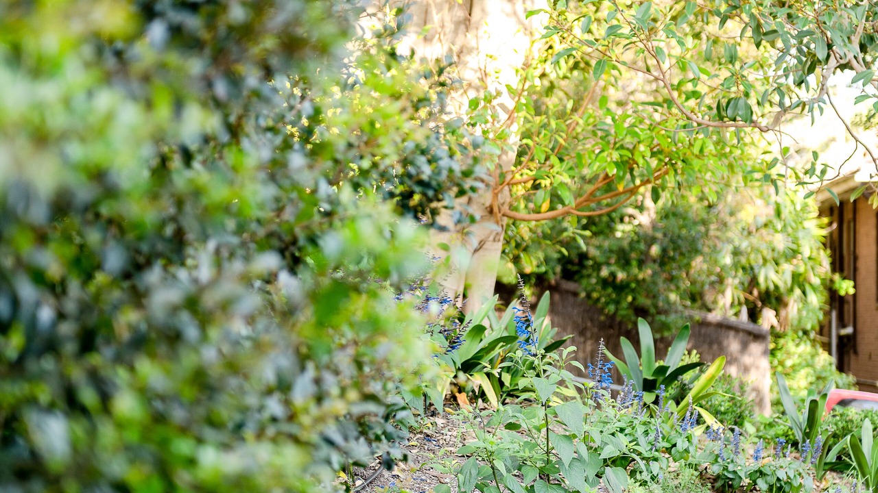 Photo of Outdoor in The Hill