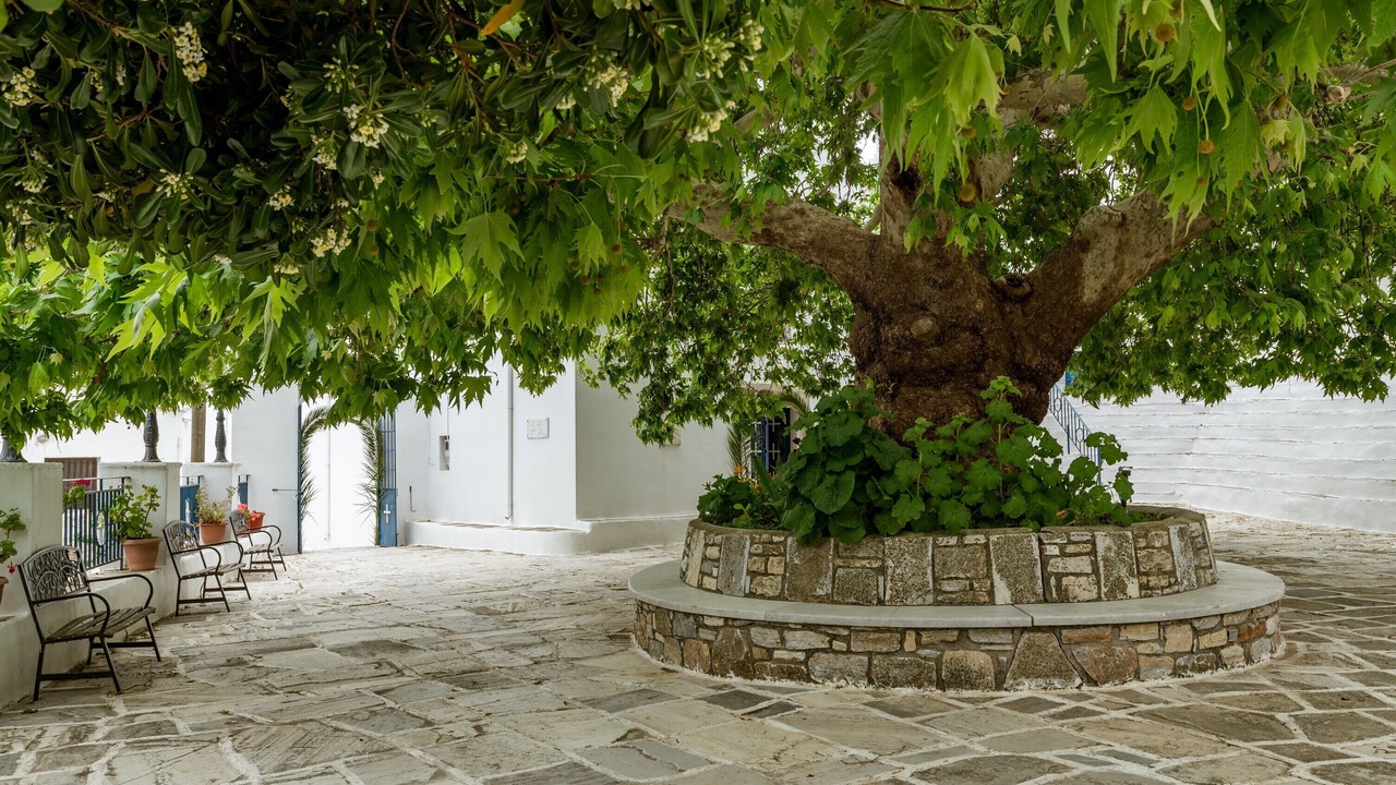 Photo of Outdoor in Koronos