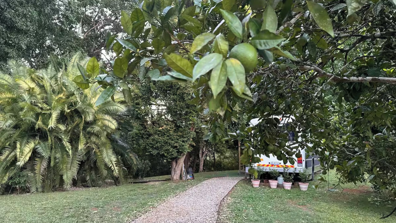 Photo of Outdoor in Bellingen