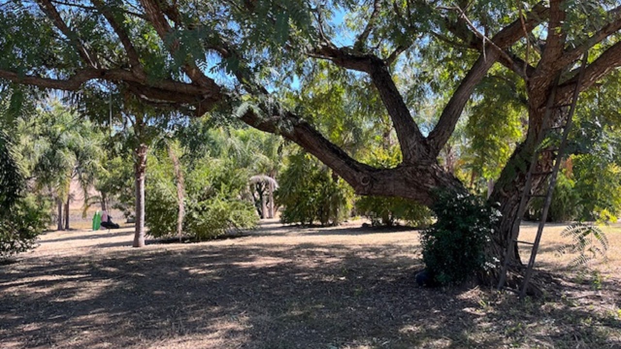 Photo of Outdoor in Gayndah