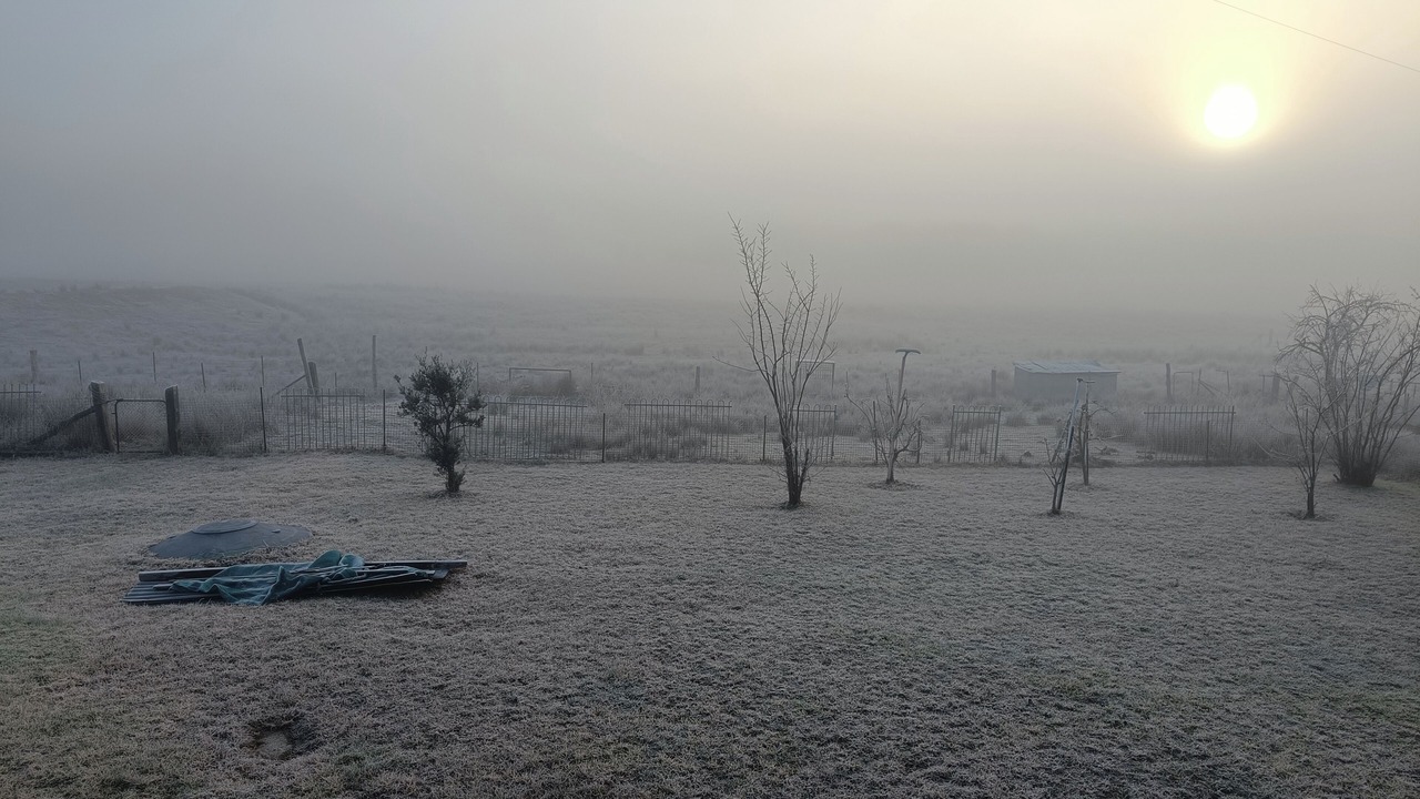Photo of Outdoor in Crudine