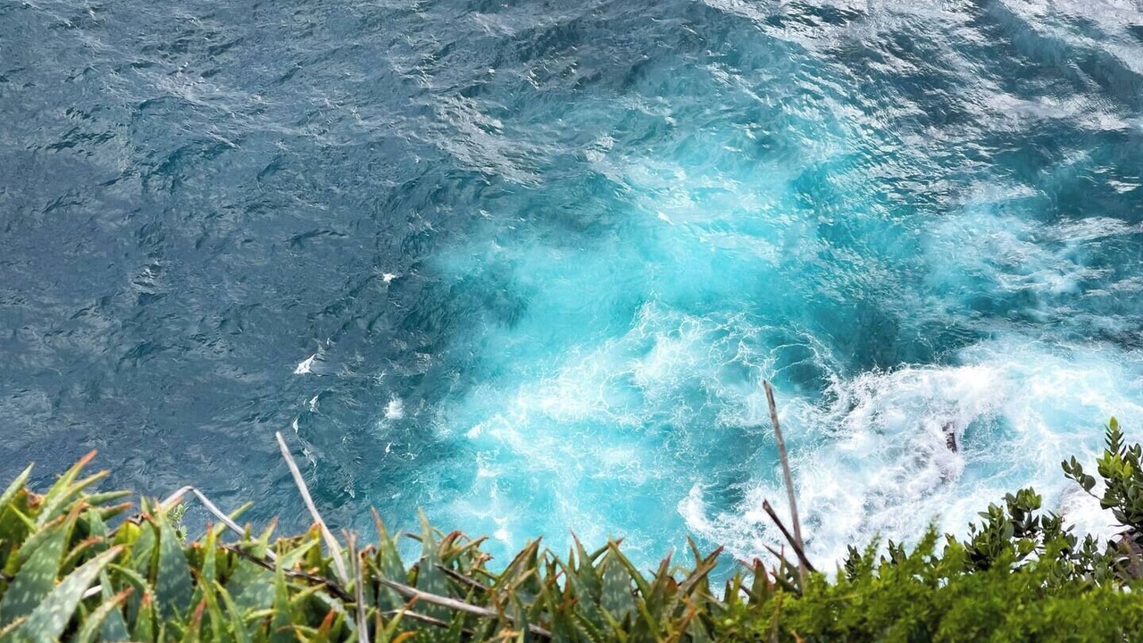 Photo of Others in Vaucluse