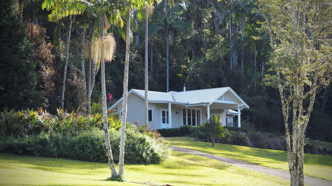 Photo of Outdoor in Whian Whian