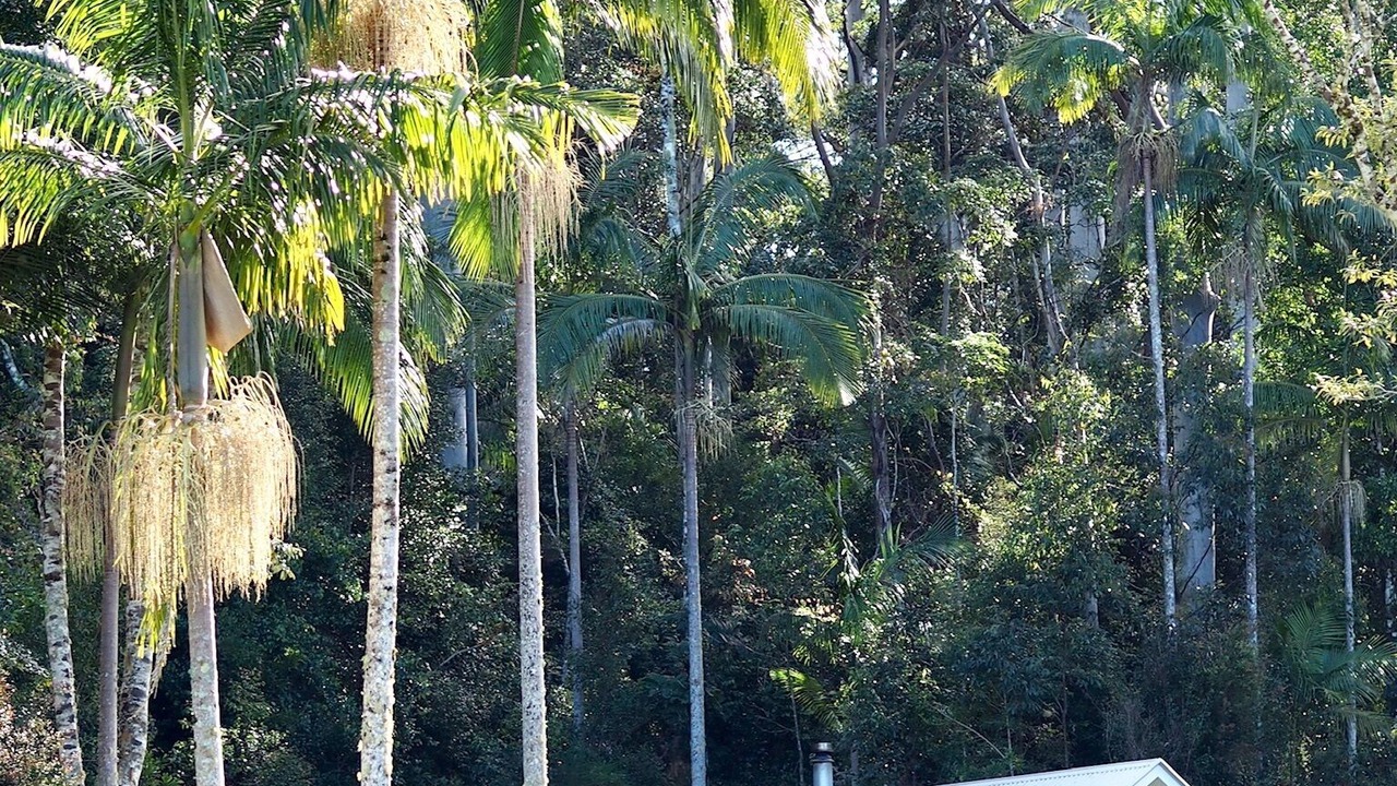 Photo of Outdoor in Whian Whian