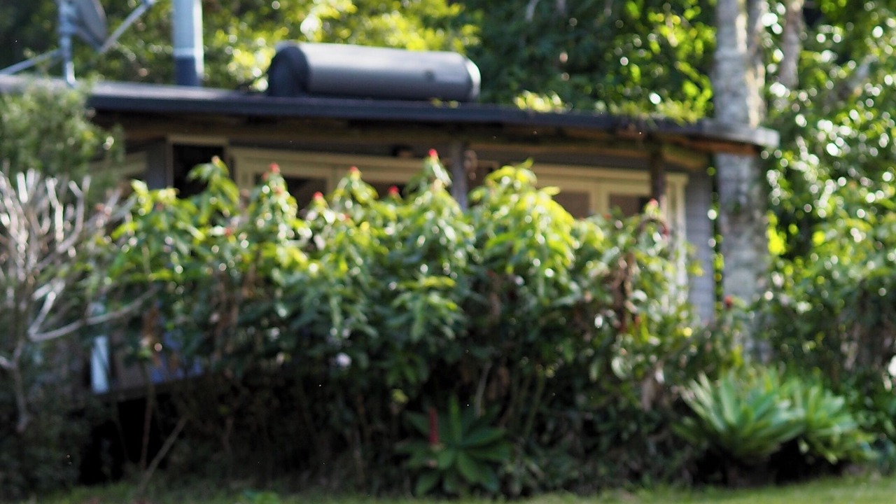 Photo of Outdoor in Whian Whian