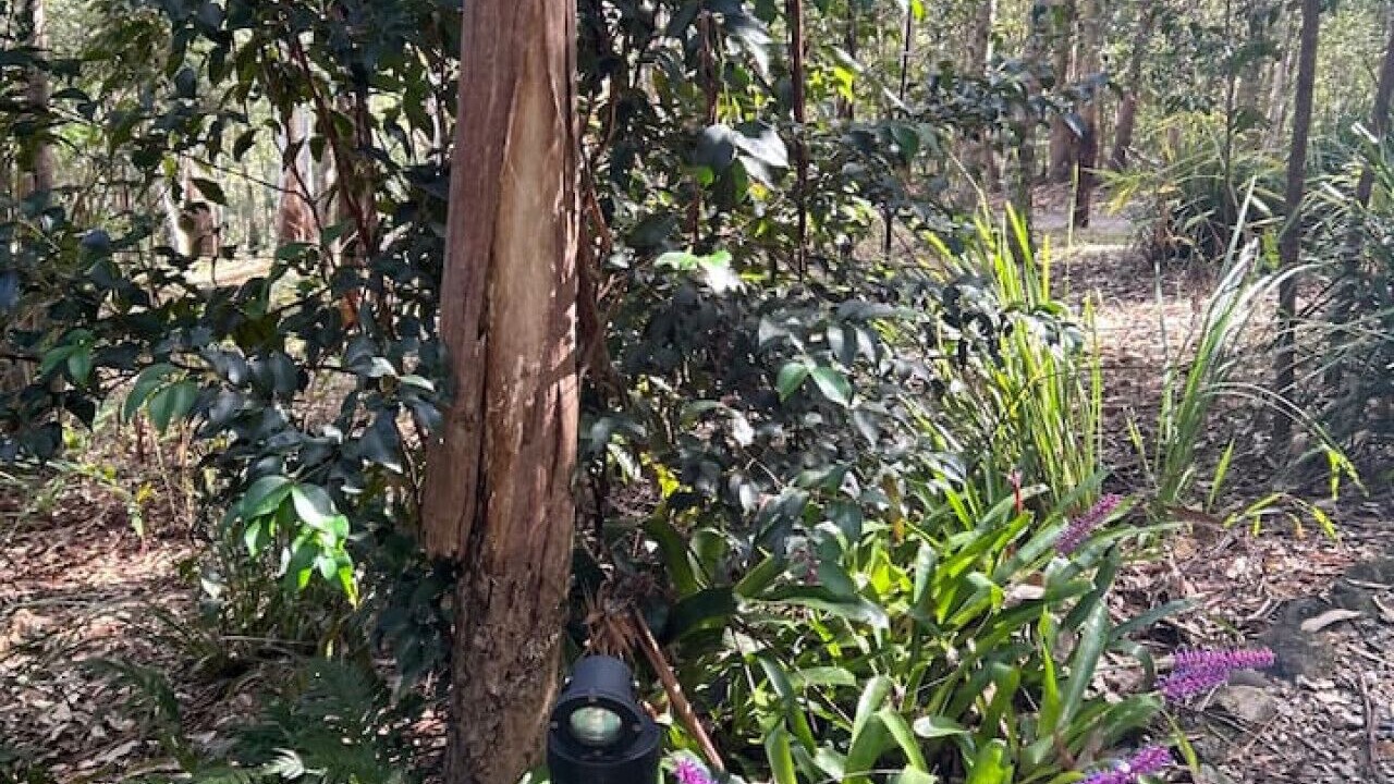 Photo of Outdoor in Smiths Creek