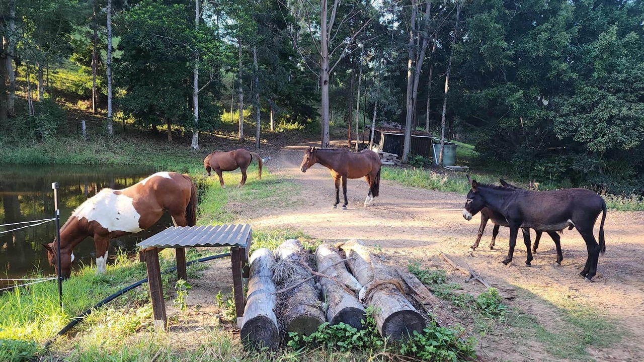 Photo of Others in Traveston