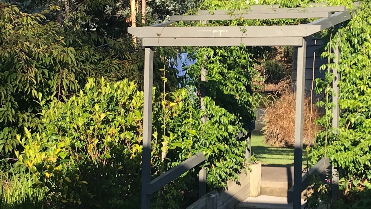 Photo of Others in Long Beach