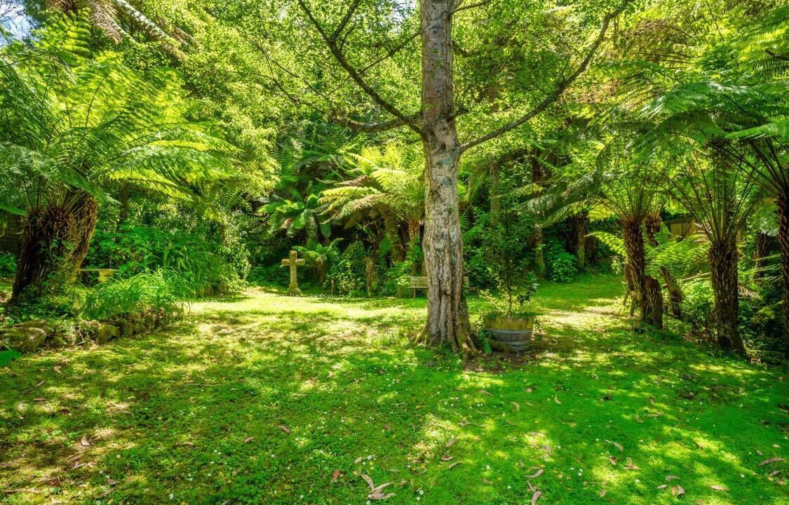 Photo of Outdoor in Warburton
