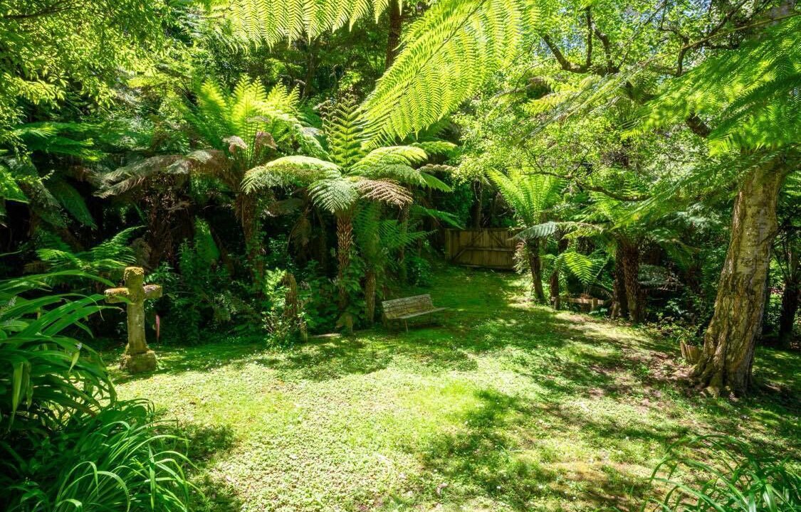 Photo of Outdoor in Warburton