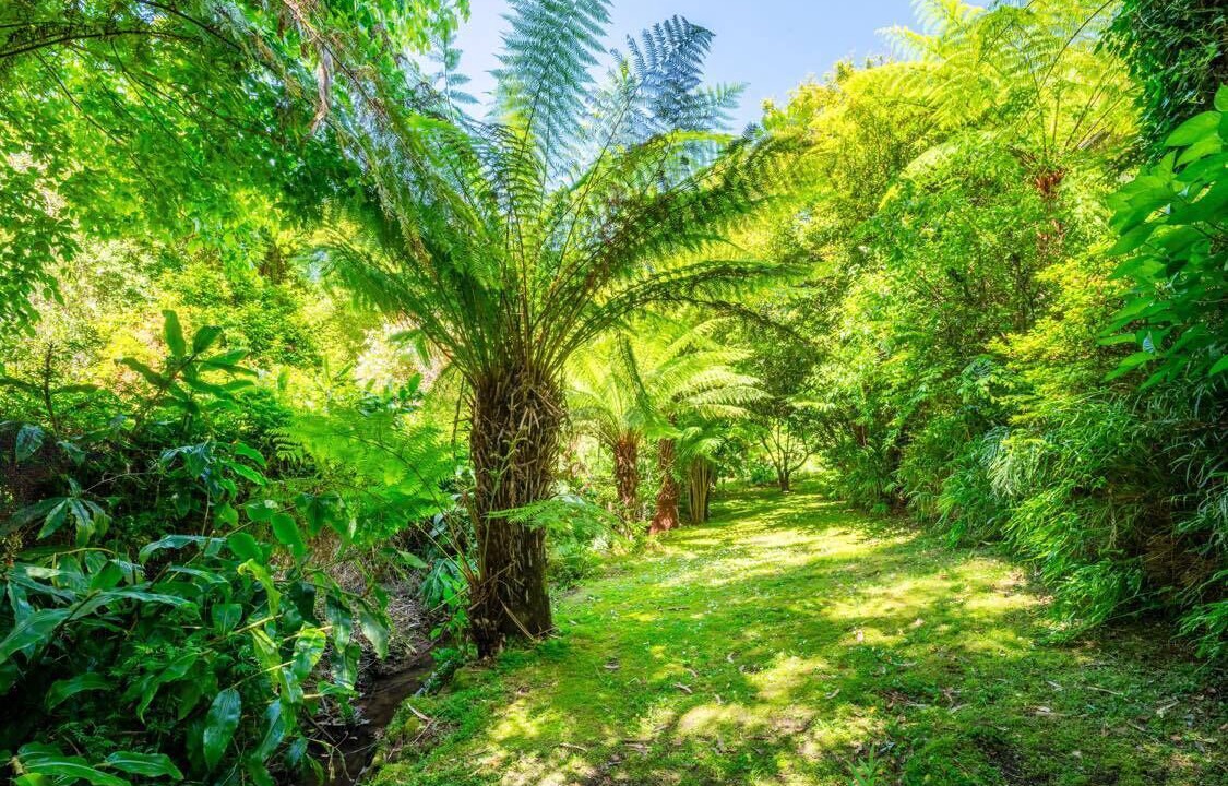 Photo of Outdoor in Warburton