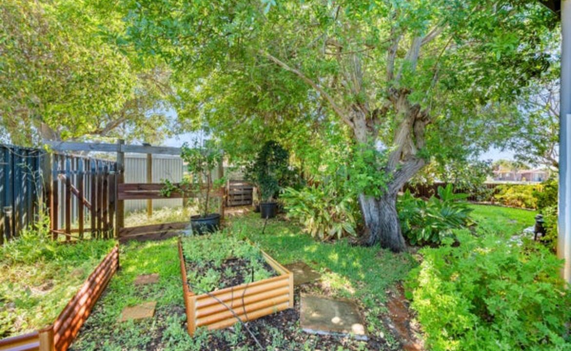 Photo of Outdoor in Falcon