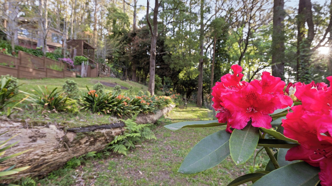 Photo of Outdoor in Olinda