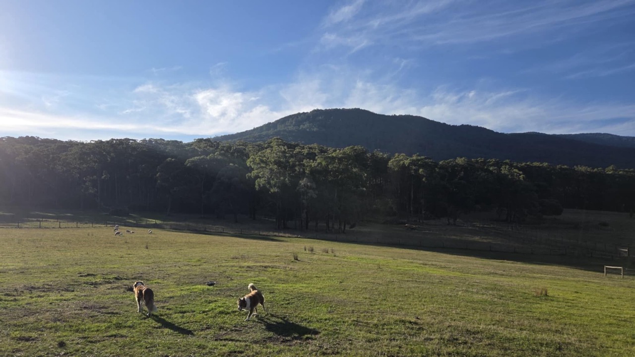 Photo of Others in Wesburn