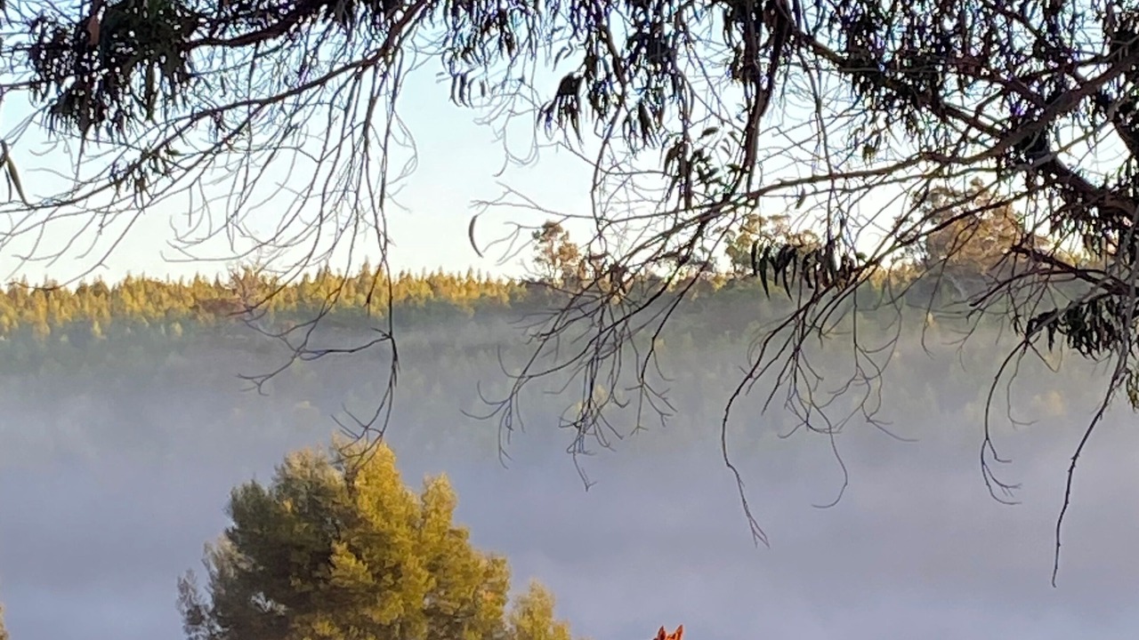Photo of Others in Benjinup