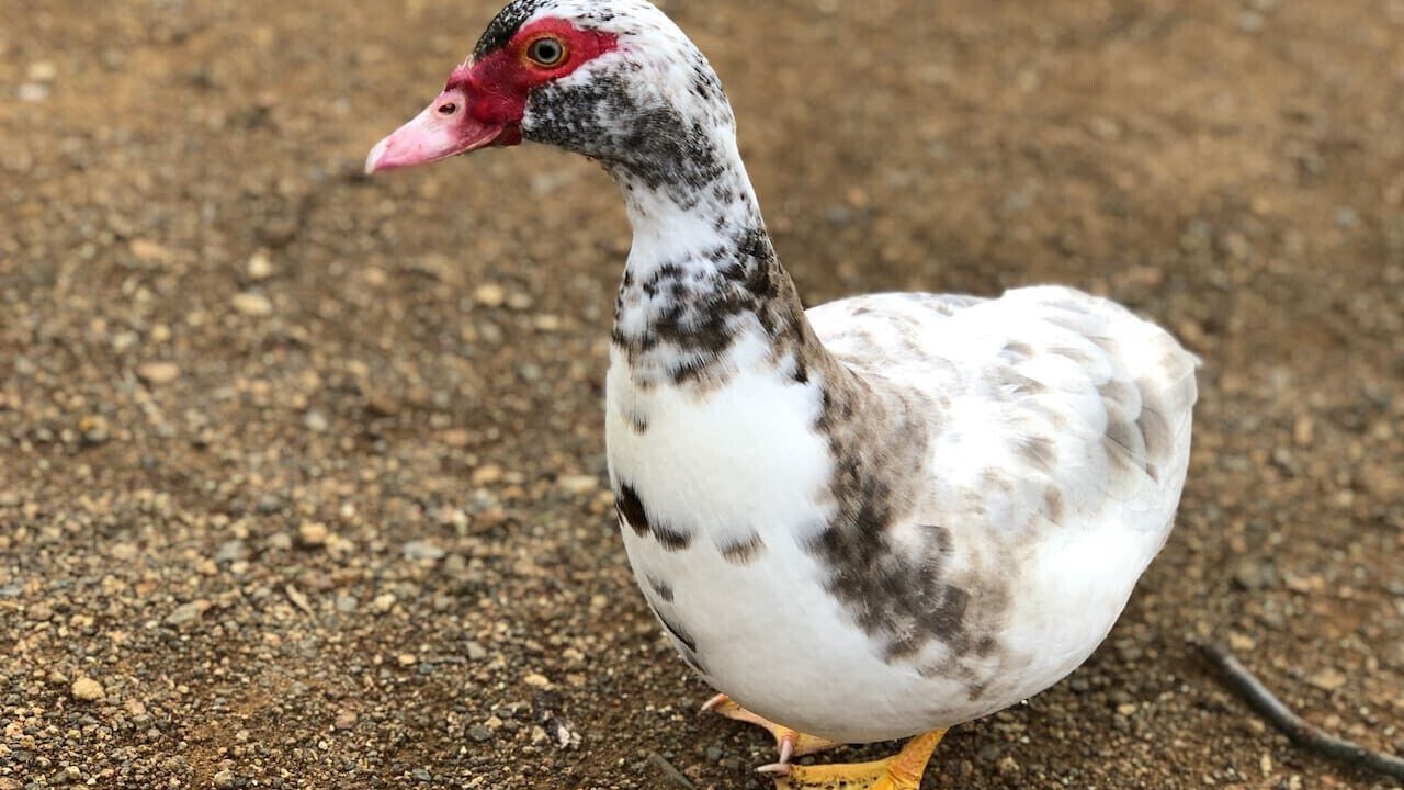 Photo of Others in Richmond