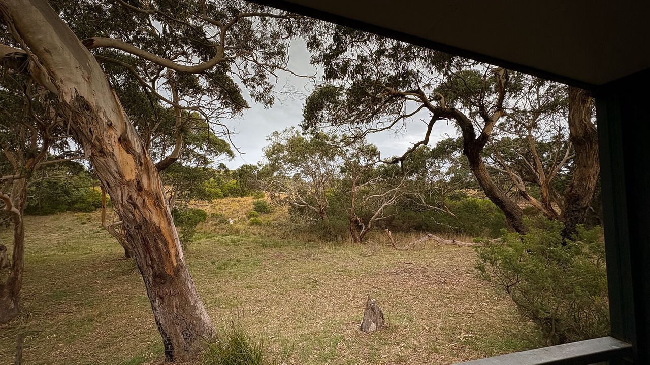 Photo of Others in Cape Otway