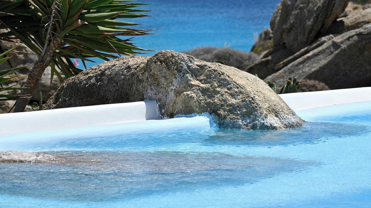 Photo of Others in Paradise