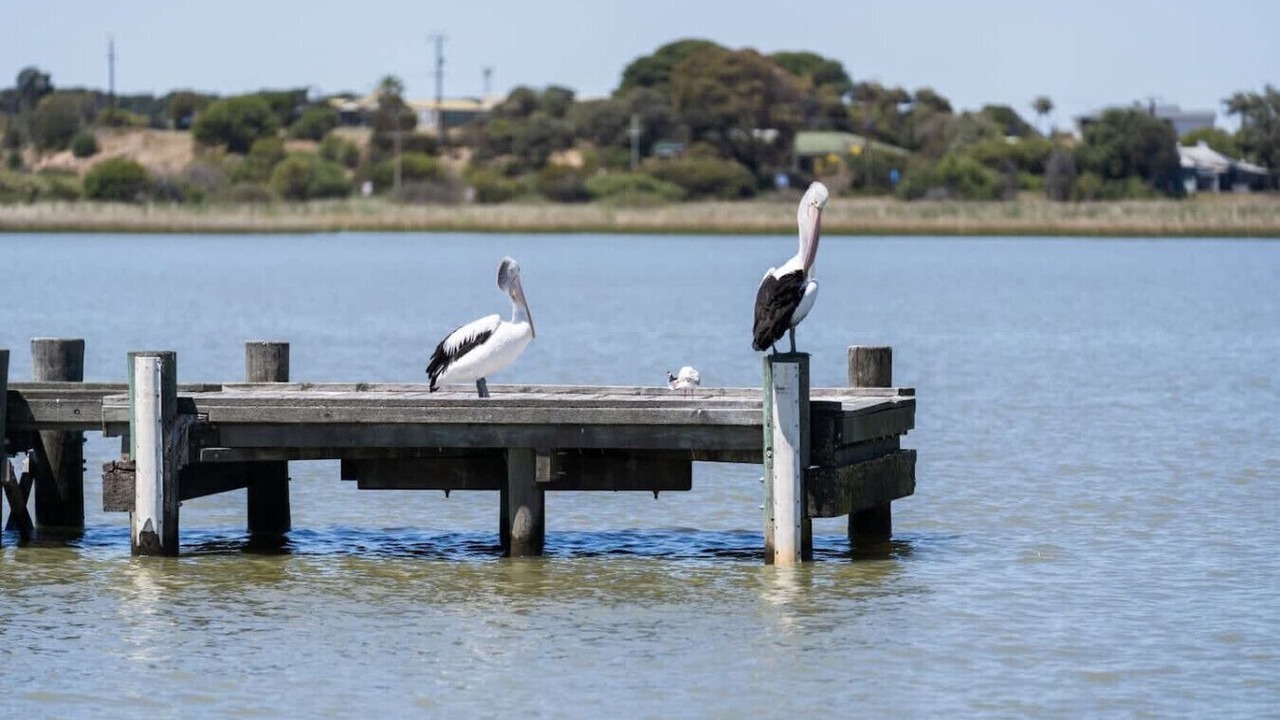 Photo of Others in Goolwa